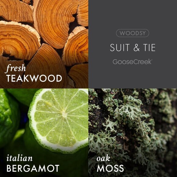 GOOSE CREEK MEN'S COLLECTION SUIT AND TIE 3 WICK CANDLE NWT - Picture 2 of 5